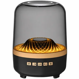 اسپیکر قابل حمل مدل LX2500